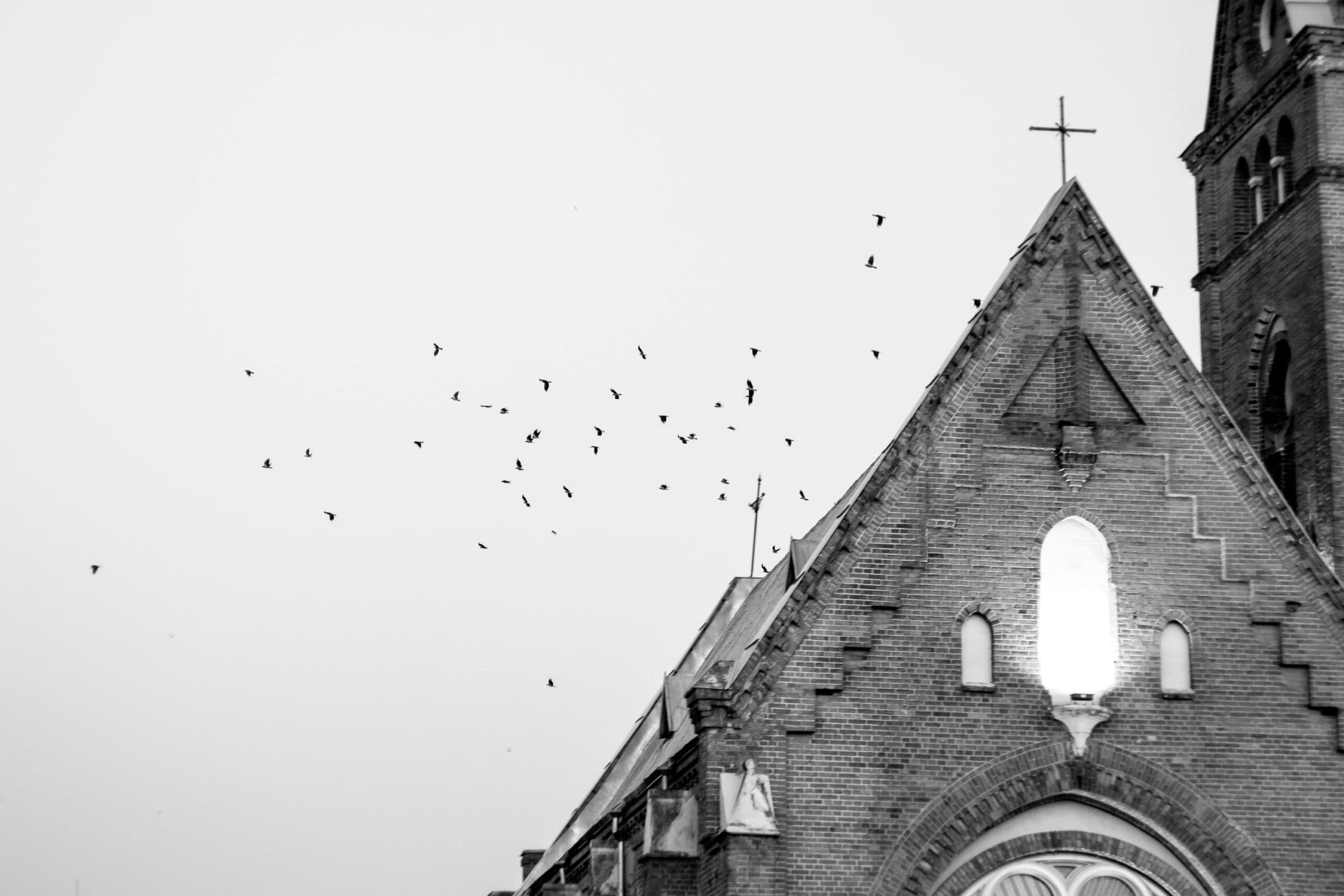 Ilustračný obrázok. Zdroj: Pexels