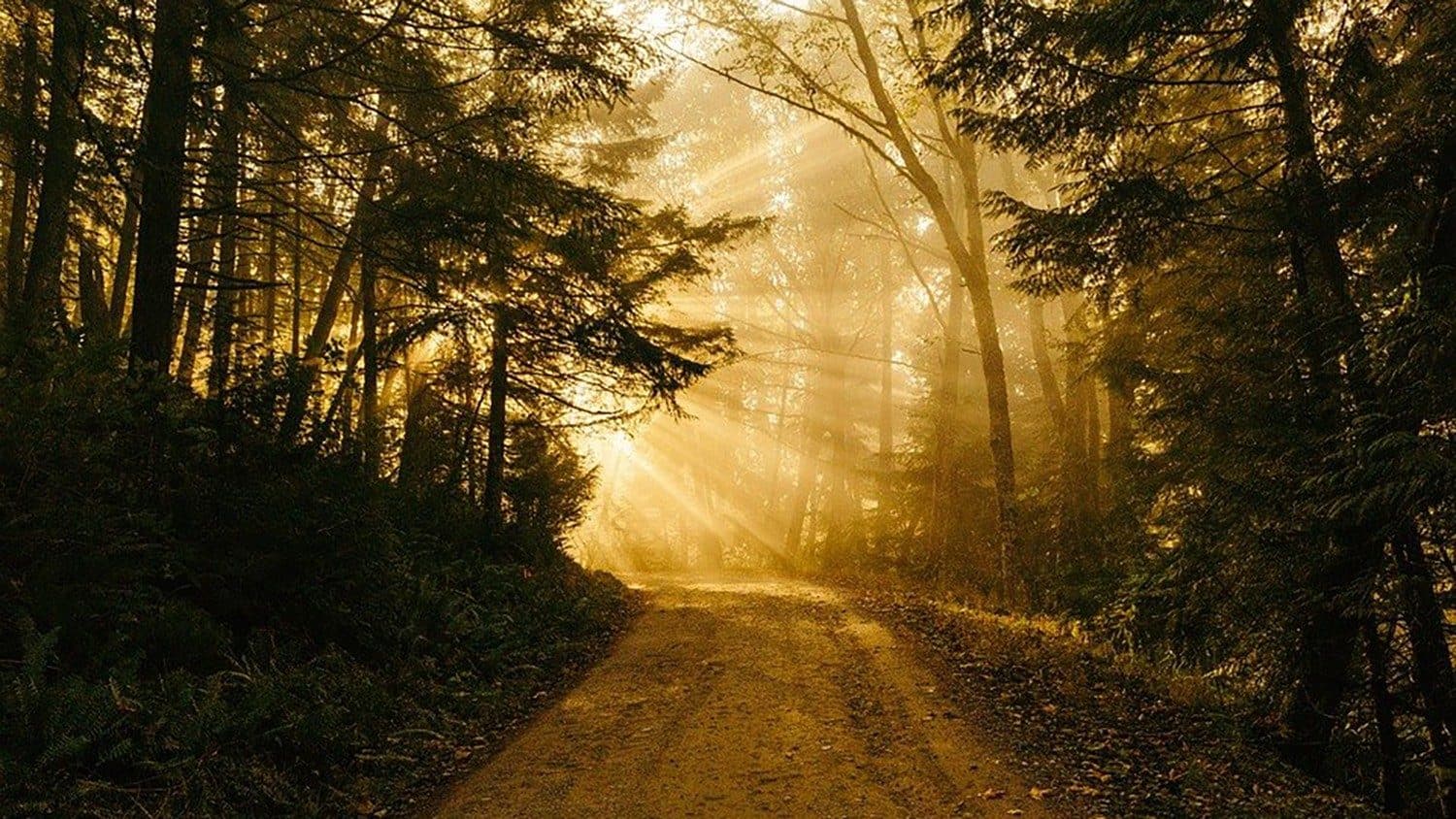 Kde iní končia, my len začíname…