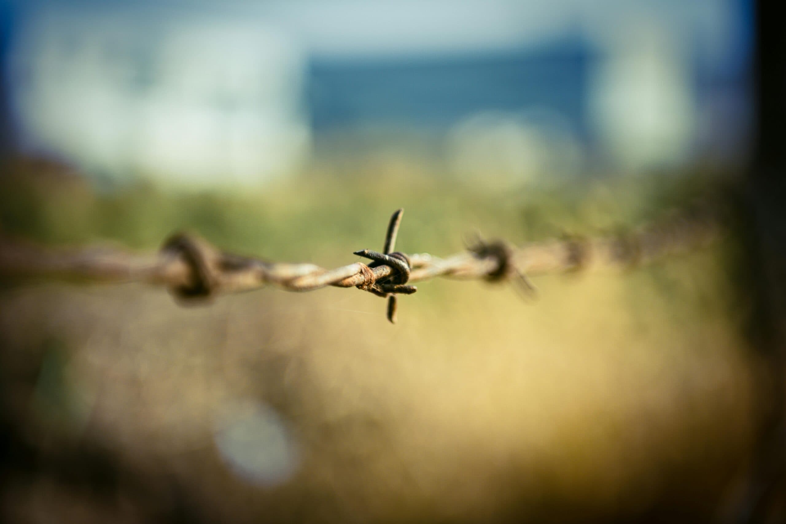 Kríž z ostnatého drôtu – symbol Svetových dní mládeže 2027