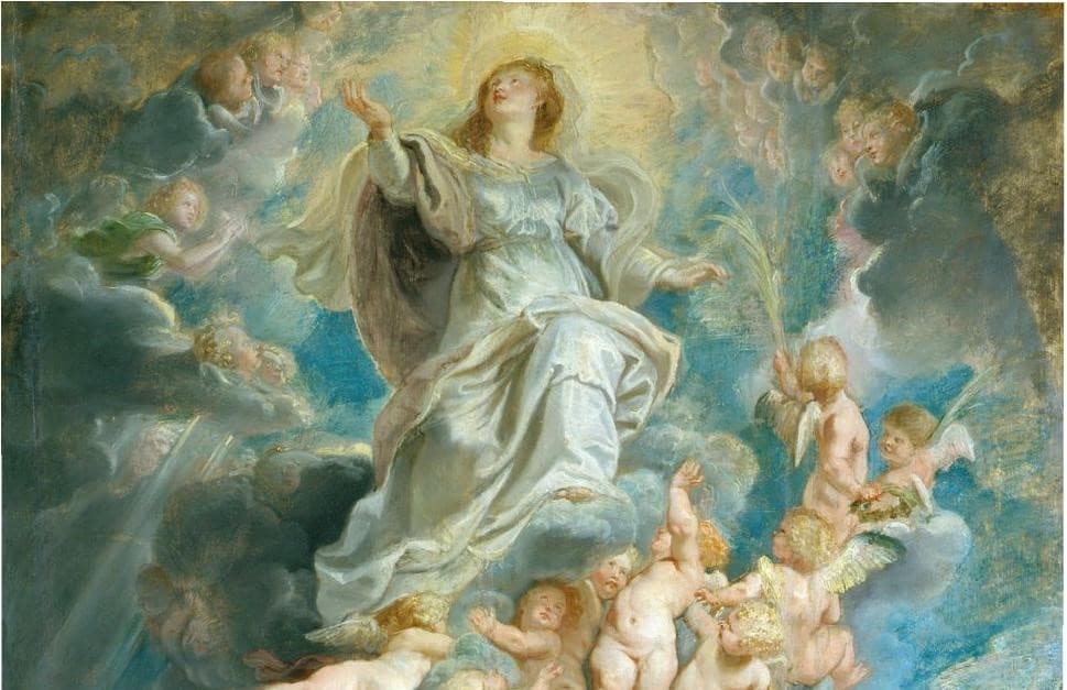 Ilustračný obrázok. Zdroj: pexels.com