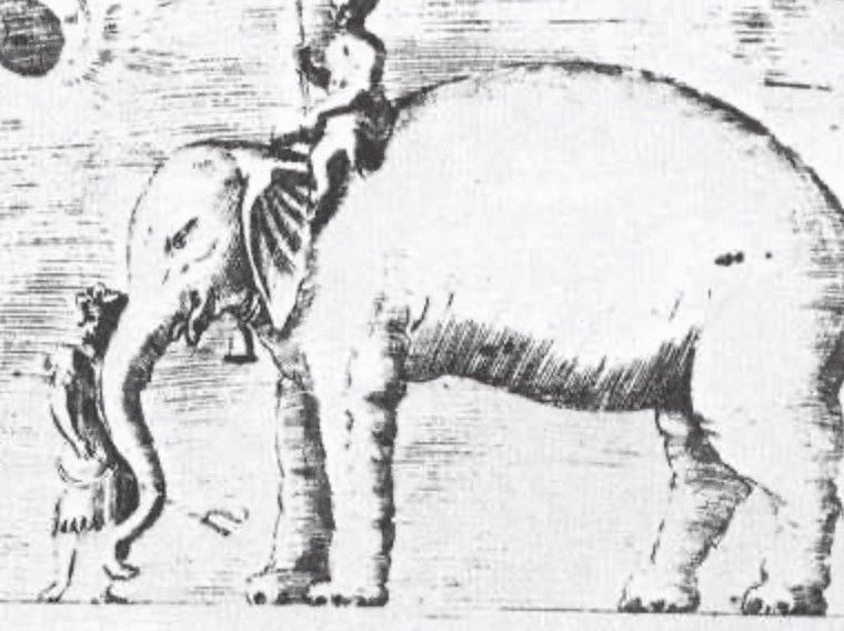 Dobové stvárnenie slona Hanna, ktorého dostal do daru pápež Lev X. Zdroj: wikipenia commons