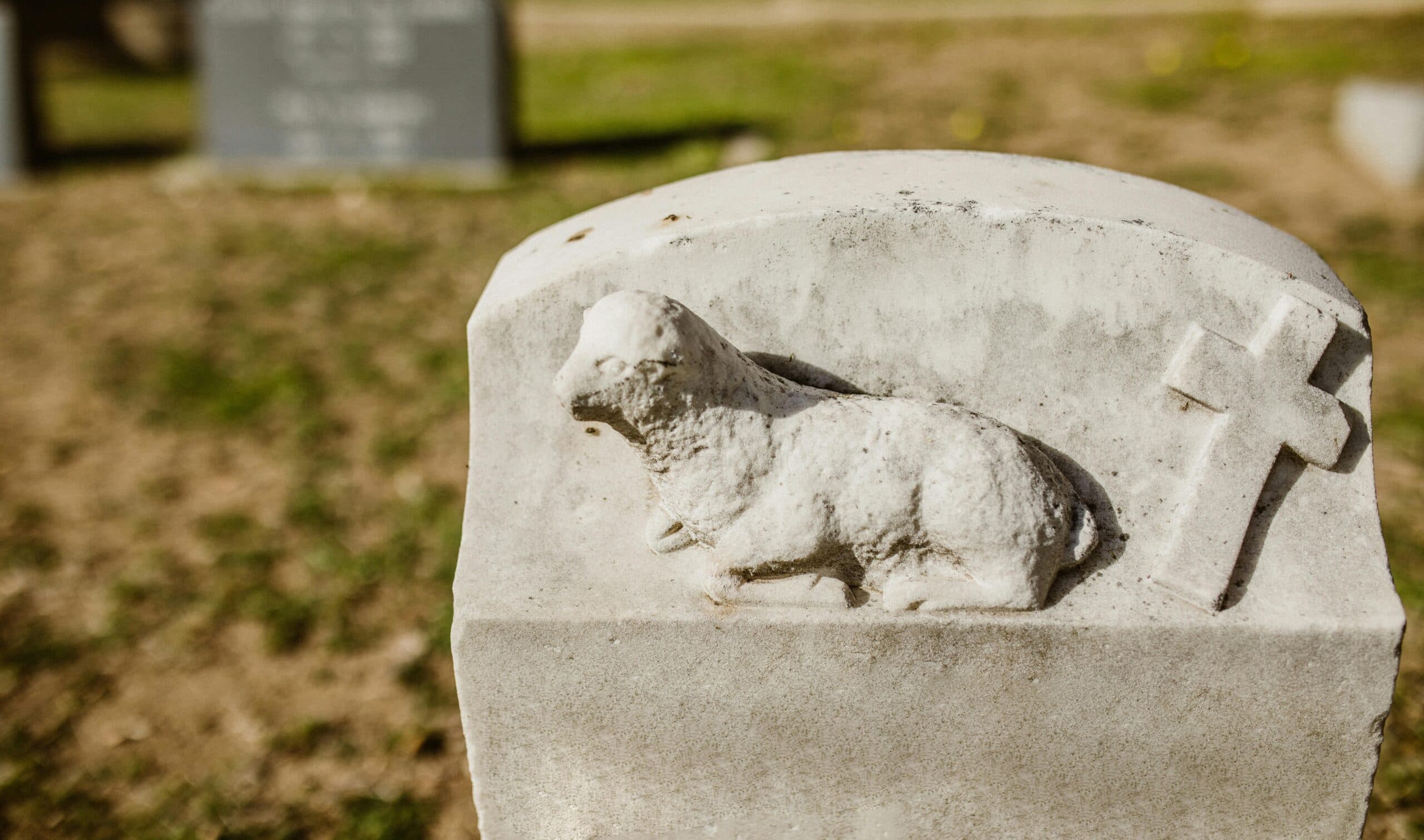 Ilustračná fotografia. Zdroj: pexels.com