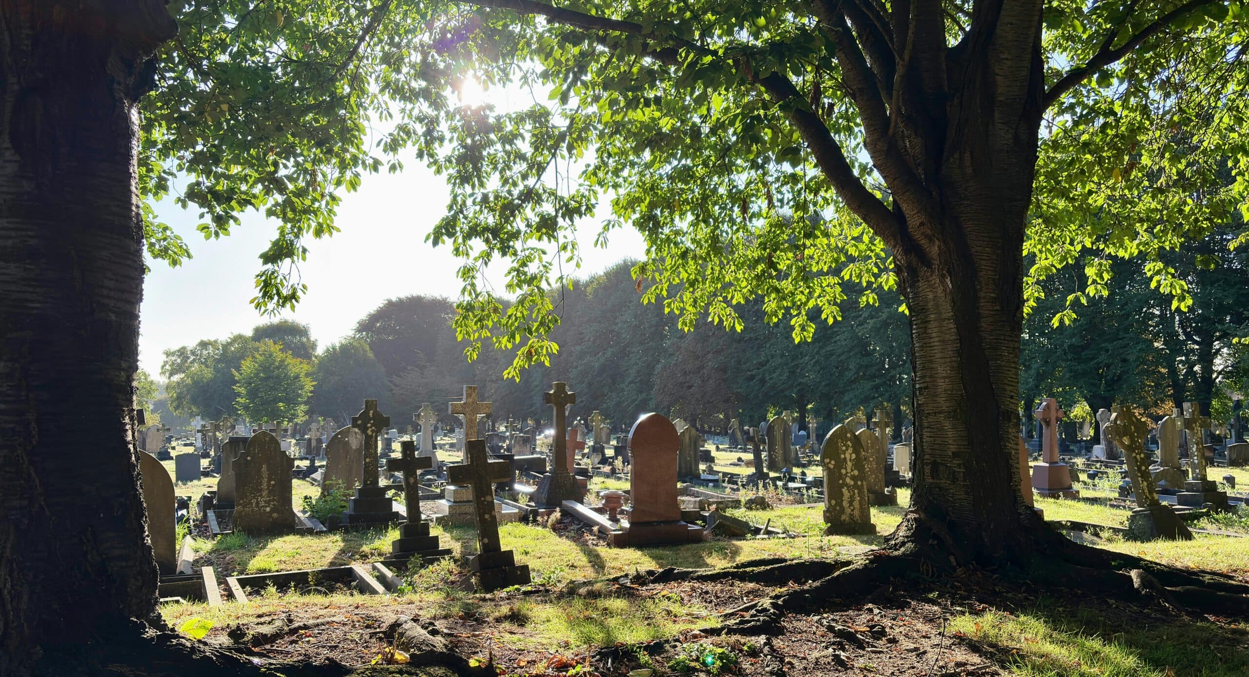 Ilustračná fotografia. Zdroj: pexels.com