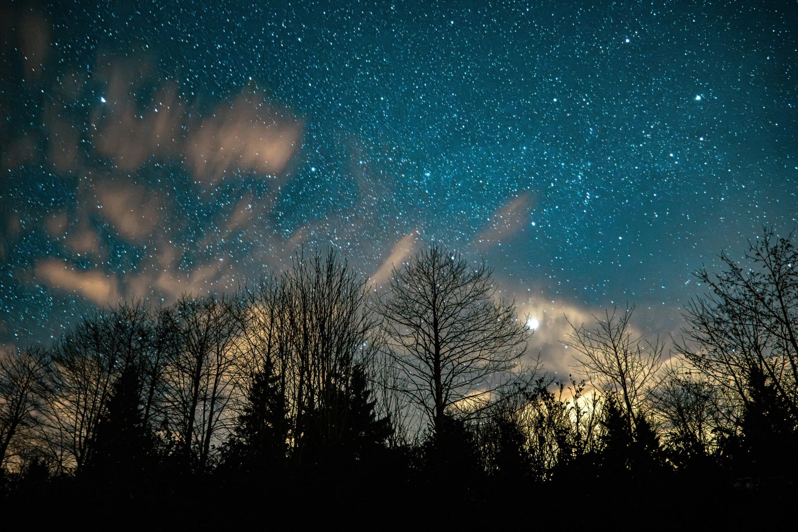 Ilustračný obrázok. Zdroj: pexels.com