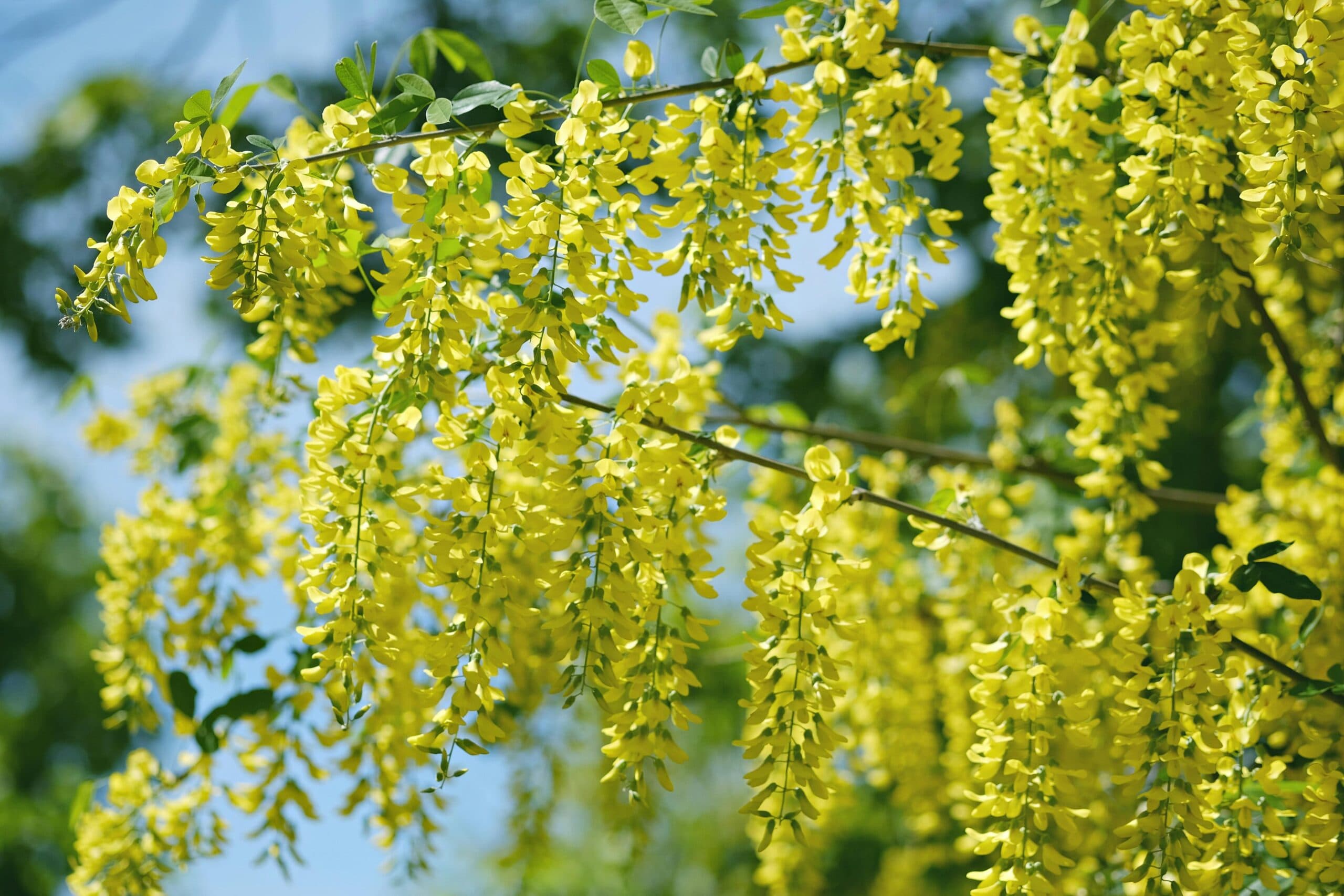 Cesta Veľkým týždňom – medzi „hoj“ a „joj“